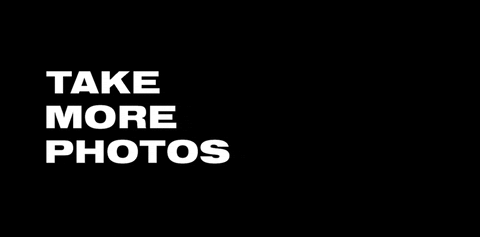 takemorephotos giphyupload tmp take more photos takemorephotos GIF