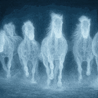 Nobody To Love Dream GIF by The LSD Hotel