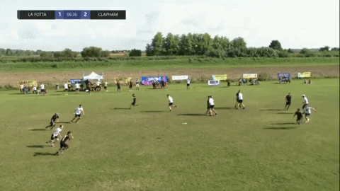 flikulti ultimate frisbee flik GIF