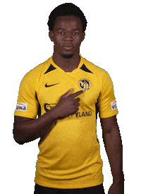 Jordan Lotomba Logo Sticker by BSC Young Boys
