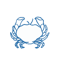 Weiss Nachhaltig Sticker by Marine Stewardship Council (MSC)