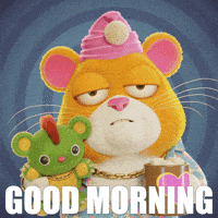 Good Morning GIF by Grind