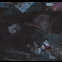 mario bava horror movies GIF by absurdnoise