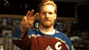 Colorado Avalanche Hockey GIF by UCHealth