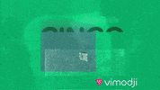 May 5Th Cinco De Mayo GIF by Vimodji