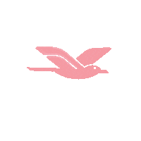 iBenlo pink bird fly flying Sticker