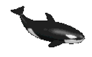 orca STICKER