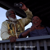 Black Voters Vote GIF by Black Voters Matter Fund