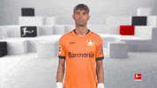 Bayer Leverkusen Reaction GIF by Bundesliga
