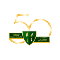 crefitomg saúde fisio fisioterapeuta crefito Sticker
