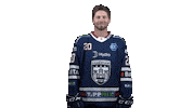 Ice Hockey Sticker by Fehervar AV19
