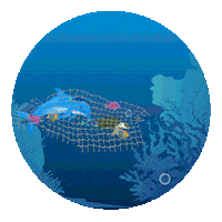 Ocean Protect Sticker by Sea Shepherd