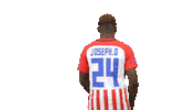 GulfUnitedFC football soccer celebration goal Sticker
