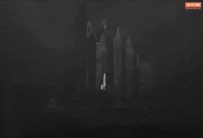 Bride Of Frankenstein Horror Classics GIF by Turner Classic Movies