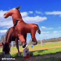 Horse Ride GIF