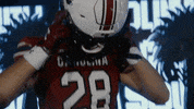 College Football GIF by gamecocksonline