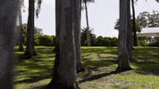 Reef Break Running GIF by ABC Network