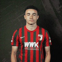 Bundesliga No GIF by FC Augsburg 1907