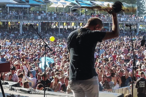 TheRevivalists giphyupload festival concert live music GIF