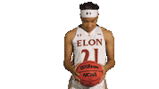 ElonPhoenixAthletics elon phoenix elonphoenix elon basketball Sticker
