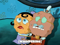 season 5 episode 13 GIF by SpongeBob SquarePants
