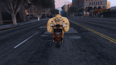 Doge Dogecoin GIF