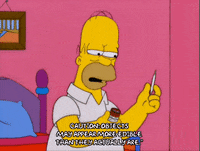 homer simpson GIF