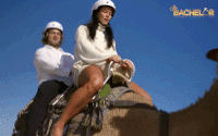 nick cummins bachelor au GIF by The Bachelor Australia