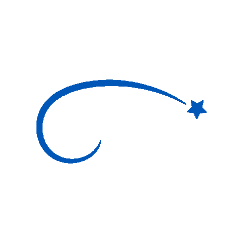 Shooting Star Wish Sticker by Make-A-Wish® Deutschland