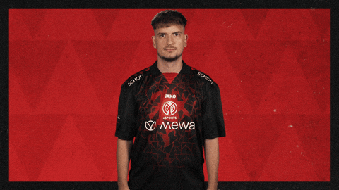 Mainz 05 Football GIF by Bundesliga