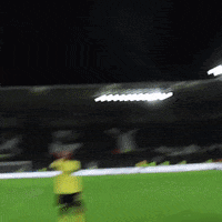 Come On Yes GIF by MillwallFC