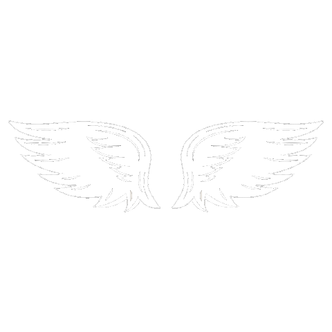 Angels Wings Sticker