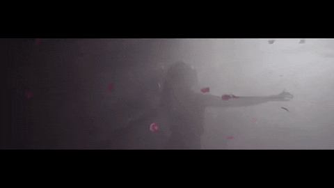 the chainsmokers roses GIF by Columbia Records