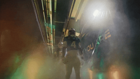 College Football GIF by USF Athletics