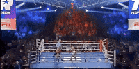 toprank fight boxing fighting fighters GIF