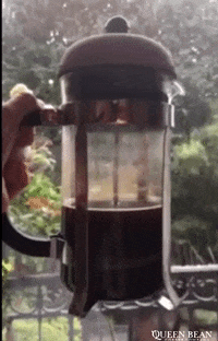 queenbeancoffee coffee millscoffee thequeenbean theqb GIF