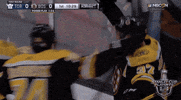 happy ice hockey GIF by NHL
