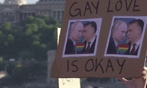 Protest Hungary GIF by GIPHY News