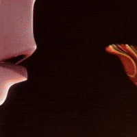 GIF by Yama Sabores Ahumados