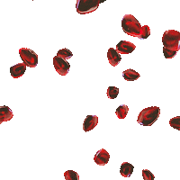 The Neptunes 3D Sticker by deadmau5