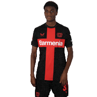 Posing Bayer 04 Sticker by Bayer 04 Leverkusen