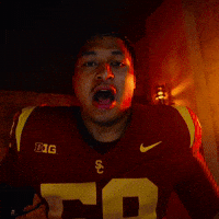 Football Sc GIF by USC Trojans