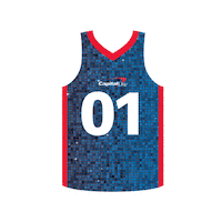 March Madness Basketball Sticker by Capital One