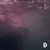 Attack Sharks GIF by Shark Week