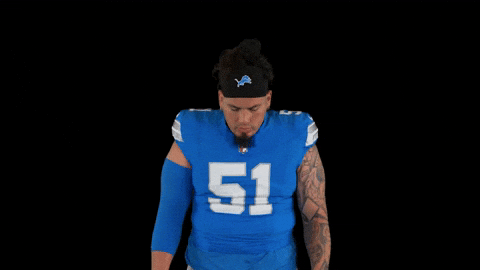 Michigan Arizona GIF by Detroit Lions