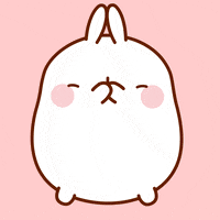 molangofficialpage funny fun cute lol GIF