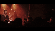 live music GIF by Freya Ridings