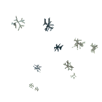 Snow Winter Sticker