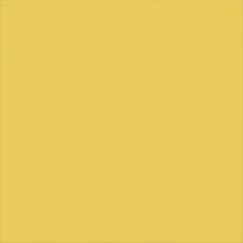 Joe Biden Protest GIF by Creative Courage