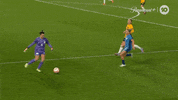 Mackenzie Arnold Keeper GIF by Football Australia